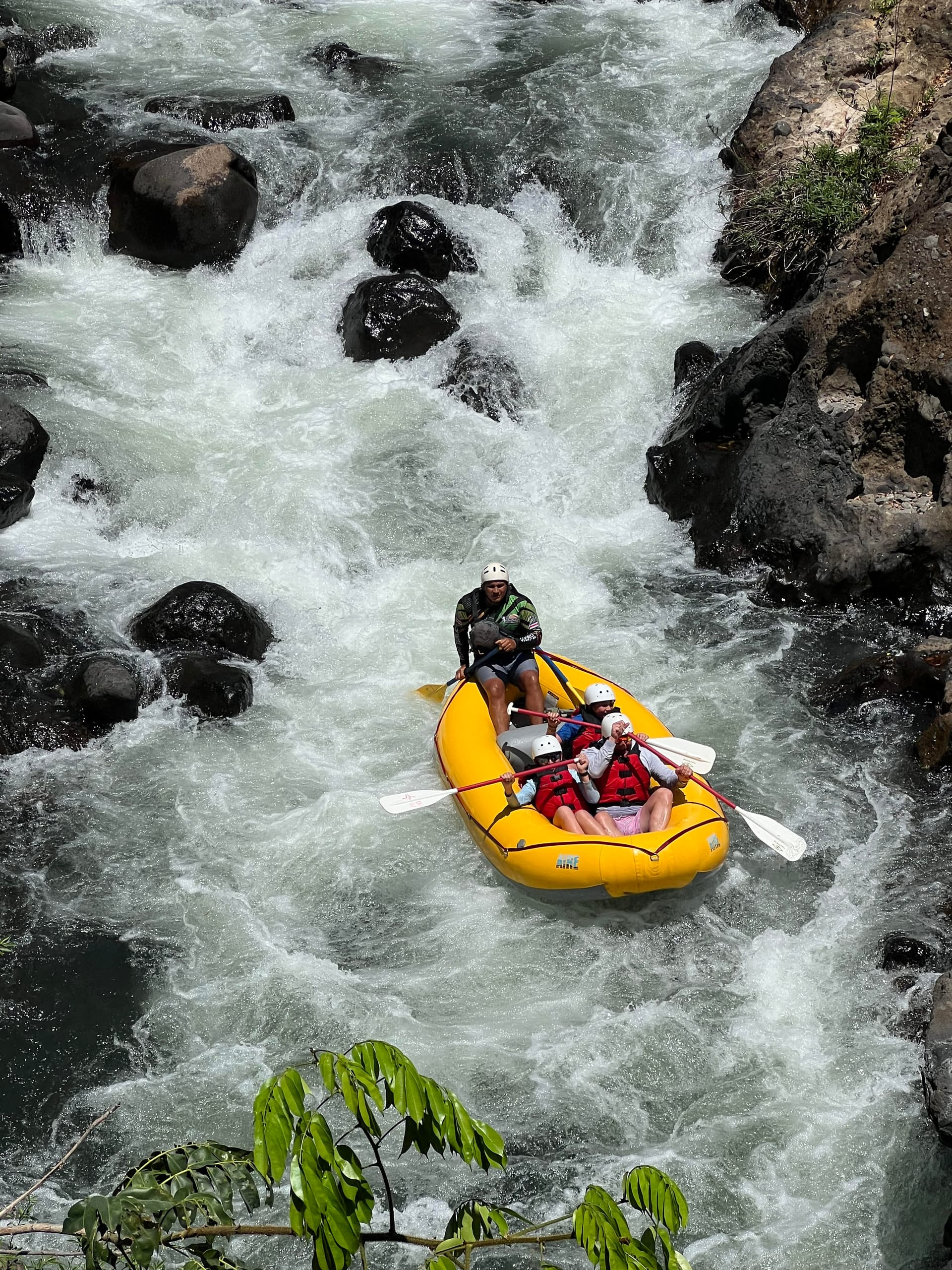 Book Direct vs Viator & GetYourGuide — An Honest Comparison — MoonRiver Travel blog