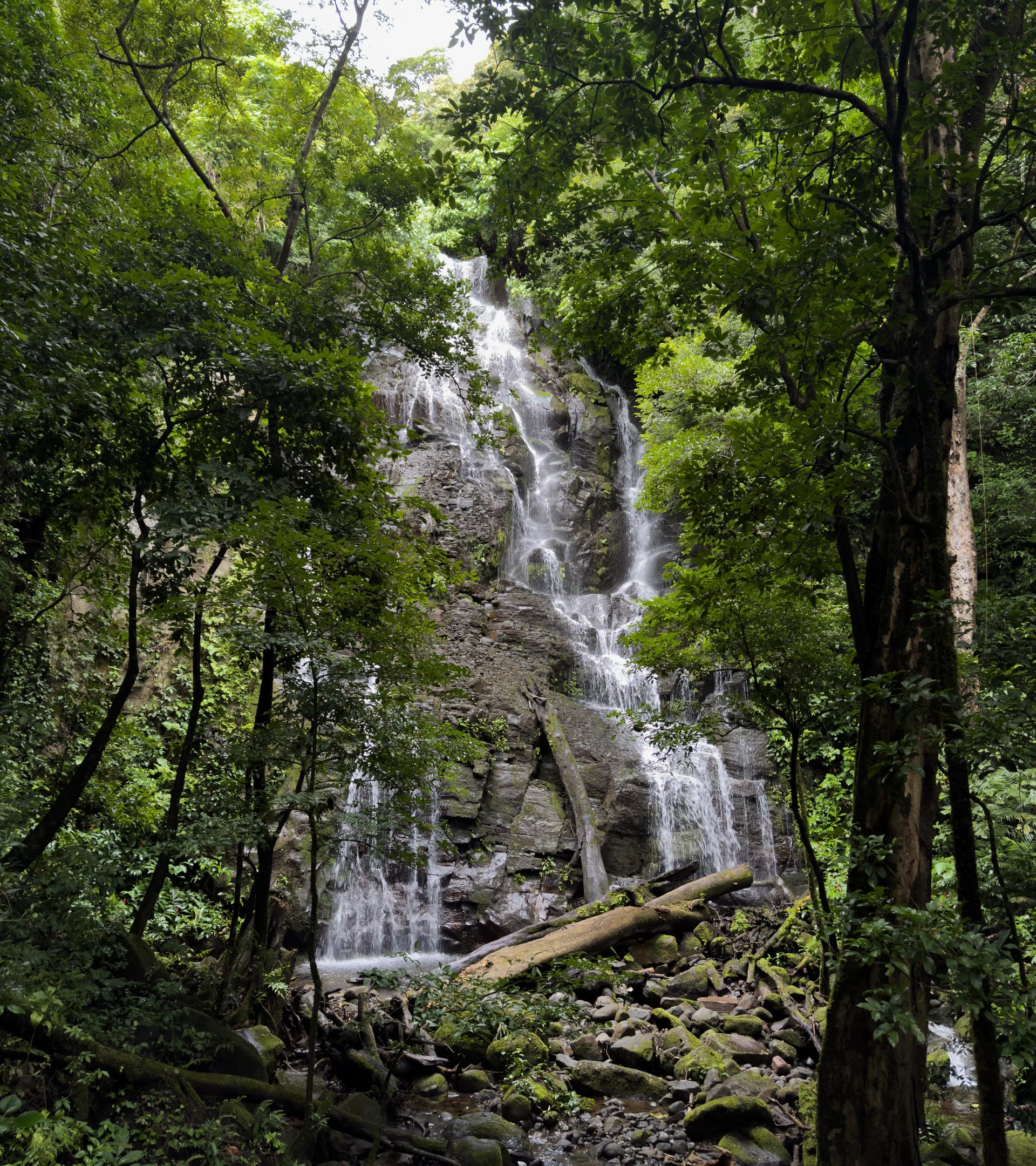 Tropical waterfall in Costa Rica rainforest