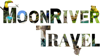 MoonRiver Travel