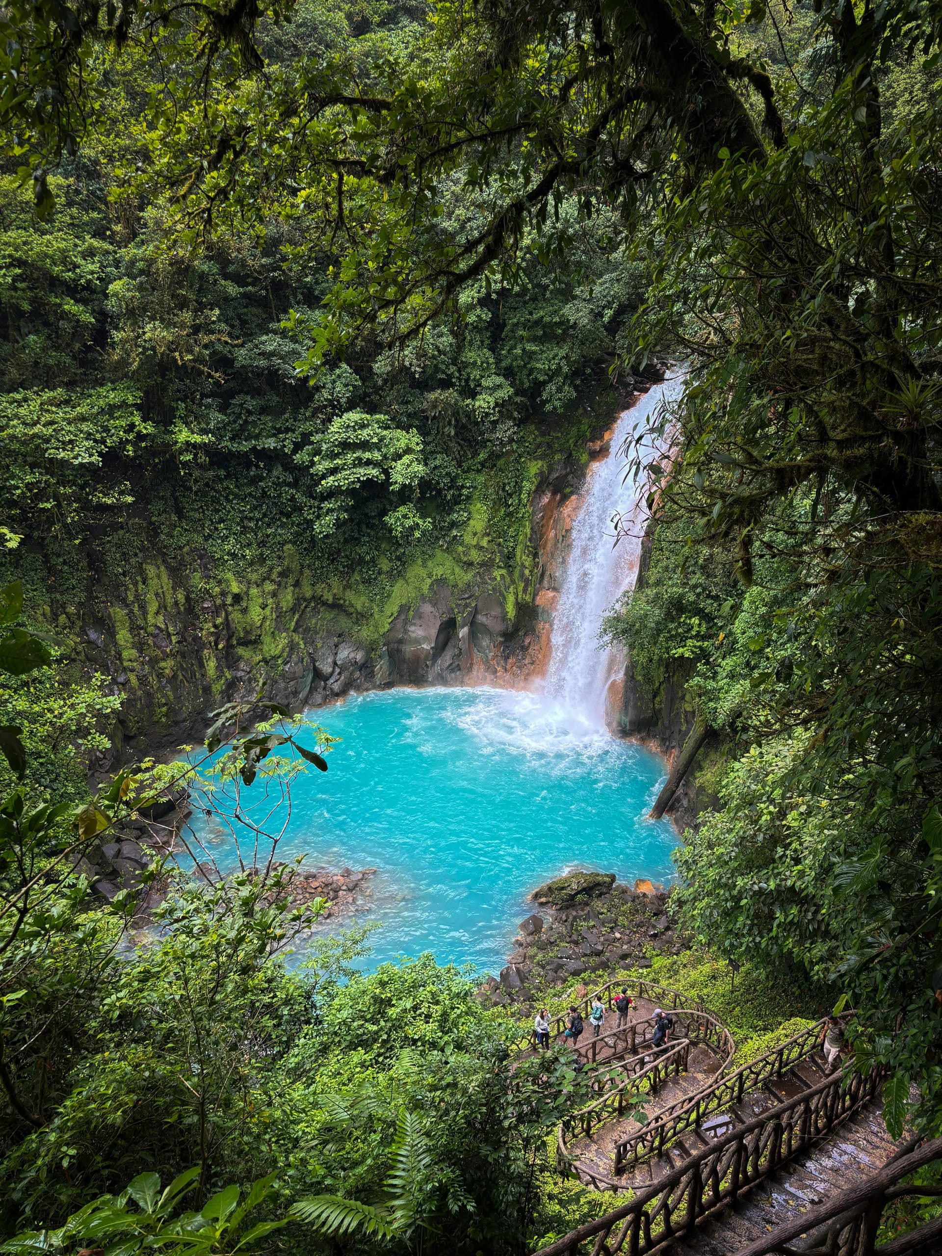 Río Celeste Waterfall: Your Complete Visitor Guide — MoonRiver Travel