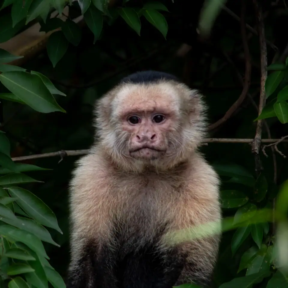 Palo Verde Wildlife Refuge Boat Tour — MoonRiver Travel, Guanacaste