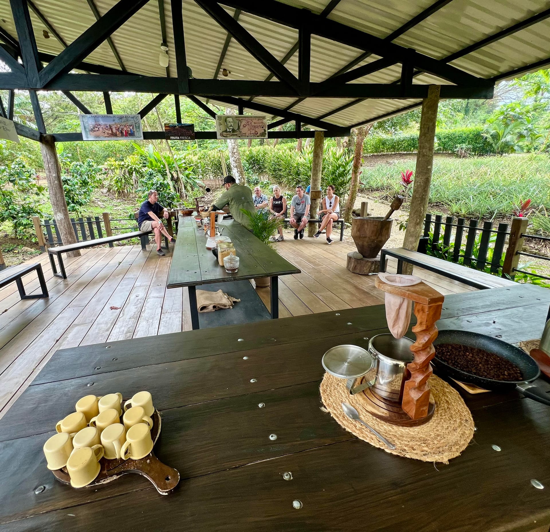 Traditional Costa Rican coffee farm visit